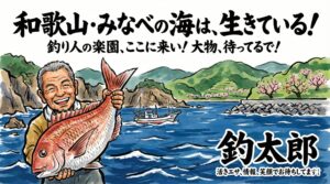 南紀では40センチ以下のチヌはあまりないのです。ほとんどが40㎝超。春先なら年無しチヌも狙えます。釣太郎