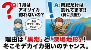 1月のアオリイカ釣りは、決して「幻」ではありません。 ここ南紀では、黒潮の恩恵を受けたリアルな「ハイシーズン」釣太郎