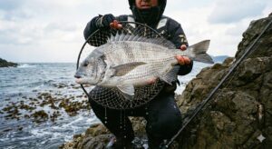 南紀の磯や堤防では、50cmを超える「年無し」が当たり前のように混ざる。釣太郎