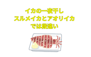 スルメイカの一夜干しを10回我慢してでも、 一度はアオリイカの干物を食べるべき。釣太郎