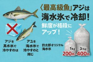 最高級魚は、海水氷で冷やしてこそ完成する。アジを真水氷で冷やすのは、アユを海水氷で冷やすのと同じ。これだけで劇t系に美味しくなる。釣太郎