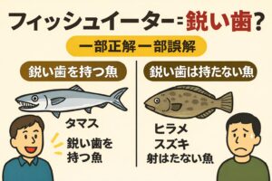 肉食魚（フィッシュイーター）＝鋭い歯は“半分ホント”半分ウソ。釣太郎