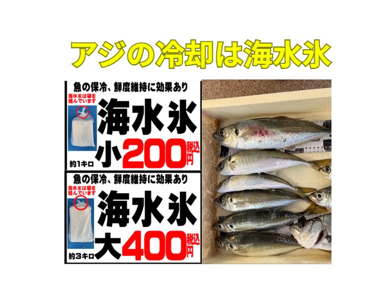 アジ冷却、3時間では差は小さい・6時間で明確な差・9時間で別物・アジほど冷却差が出る魚はいない・海水氷が最適解。釣太郎