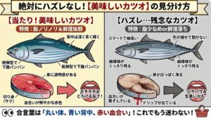 美味しいカツオを選ぶ合言葉は、「丸い体、青い背中、赤い血合い」。丸ごと買うなら：下腹がパンパンに張った砲弾型。切り身で買うなら：血合いが黒ずんでいない、透明感のある赤。釣太郎