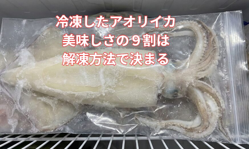 【釣果料理】冷凍アオリイカの美味しさは「解凍」で9割決まる！失敗しないプロの技。釣太郎