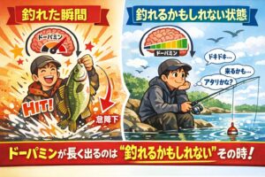 ドーパミンは「成功した瞬間」よりも「成功を予測している時間」に長く分泌されます。 釣り人は、釣果が出る前から、すでに幸せになっています。釣太郎