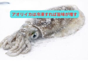 ✔ 身がやわらかくなる✔ 繊維がほぐれる ✔ 舌に絡む粘りが出る。いわゆる「ねっとり感」。これが、冷凍アオリイカが甘く感じる最大要因。釣太郎