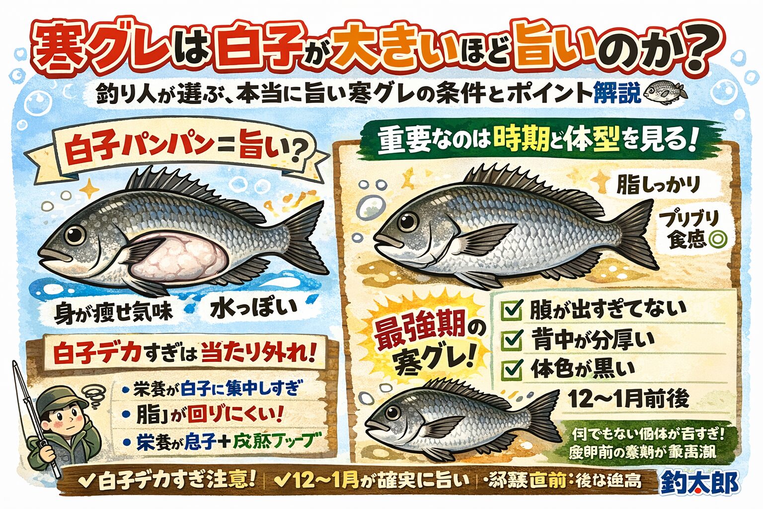 寒グレの旨さ、白子＝旨いは半分ウソ・重要なのは時期と体型・12〜1月が最強・2月は個体差・産卵後は避ける。見るべきは腹の中より、体の外。釣太郎