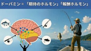 釣りが楽しい本当の理由は「癒し → 興奮 → 満足」の完璧なループ！脳科学で徹底解説。釣太郎