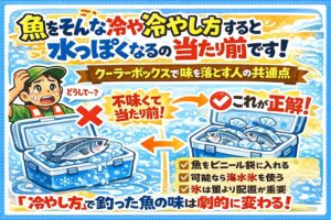 魚が水っぽいのは、 魚の質が悪いからでも ・釣果が小さいからでもなく冷やし方が雑だから。真水氷に直接当てない・魚は必ず包む ・氷は量より配置・可能なら海水氷を使う。釣太郎