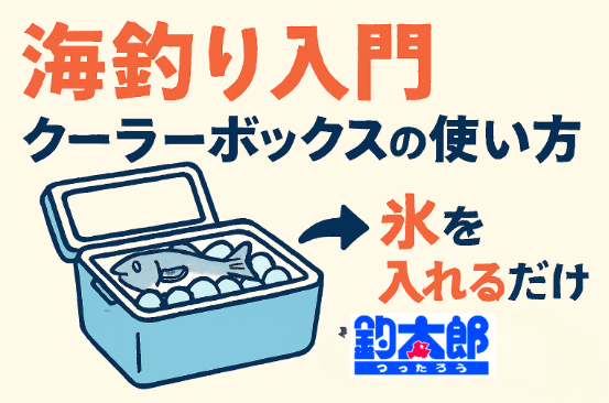 クーラーボックスは“鮮度保存装置”と考える。事前冷却＋氷の量＋配置が鮮度を左右する。 魚：氷＝1：1が黄金比。開閉回数と直射日光に注意.釣太郎