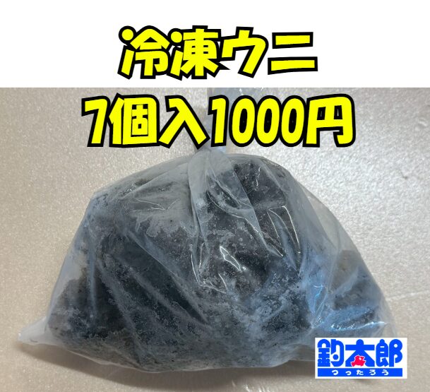 生ウニは今季販売終了 ・春まで入荷予定なし ・冷凍ウニは在庫あり ・7個入り1000円・石鯛釣りエサとして十分実用的・冬〜早春は特に有効。釣太郎