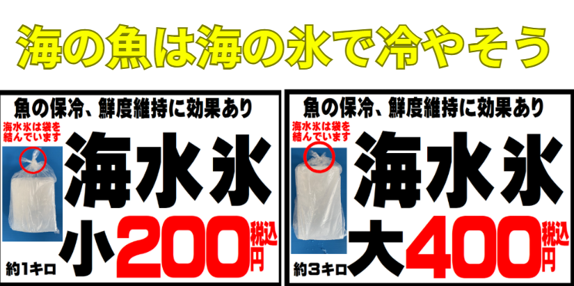 なぜ“海水氷”で冷やすと魚は美味しくなるのか？釣り人の間では昔から「海の魚は海の氷で冷やすべき」と言われてきました。釣太郎