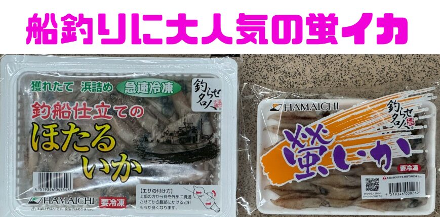 ホタルイカがよく釣れる理由は魚にとって、自然で食べ慣れていて違和感がなくて美味しい。釣太郎