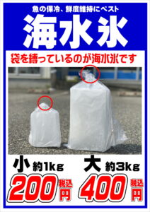 海水氷で冷やした魚の刺身は旨いと評判。釣太郎