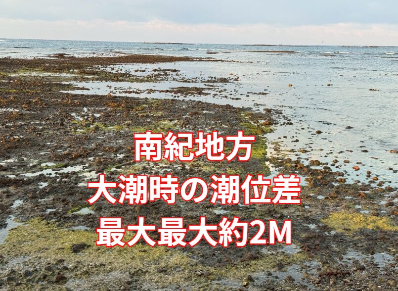 南紀の磯は「低さ」を舐めたら終わり。大潮時の潮位差は約180〜220cm・干潮で立てる場所は、満潮で消える ・南紀の磯は“面で水が来る”釣太郎