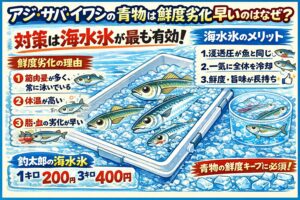 青物は筋肉量と体温が高く劣化が早い・脂と血が多く臭みが出やすい・普通の氷では鮮度を守れない・海水氷は浸透圧・冷却効率ともに最適・プロも使う方法が最善。釣太郎