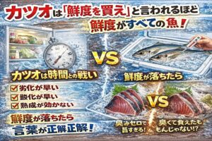 カツオは「鮮度を買え」この言葉が そのまま正解の魚。 鮮度が良ければ別格の旨さ。釣太郎