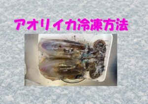 冷凍アオリイカ調理、解凍は「半解凍」がベスト。完全解凍するとドリップが出やすい。 刺身なら半解凍で切る 。加熱料理なら凍ったまま調理が旨い。冷蔵庫でゆっくり戻すと甘みが残る。釣太郎