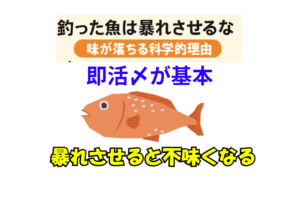 魚が暴れると味が落ちる理由①筋肉に乳酸がたまり、身が硬くなる②血中ストレスホルモンの増加で「生臭さ」が強くなる③血抜きが不完全になりやすい。釣太郎
