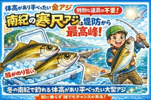 体高があり平べったいアジは居着き型・大型個体は金アジと呼ばれる・冬は脂が最高潮に達する・南紀の寒尺アジはその頂点。釣太郎
