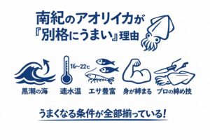 南紀のアオリがうまい理由は、黒潮・水温・エサ ・地形・文化。全部が奇跡的に重なっている。釣太郎