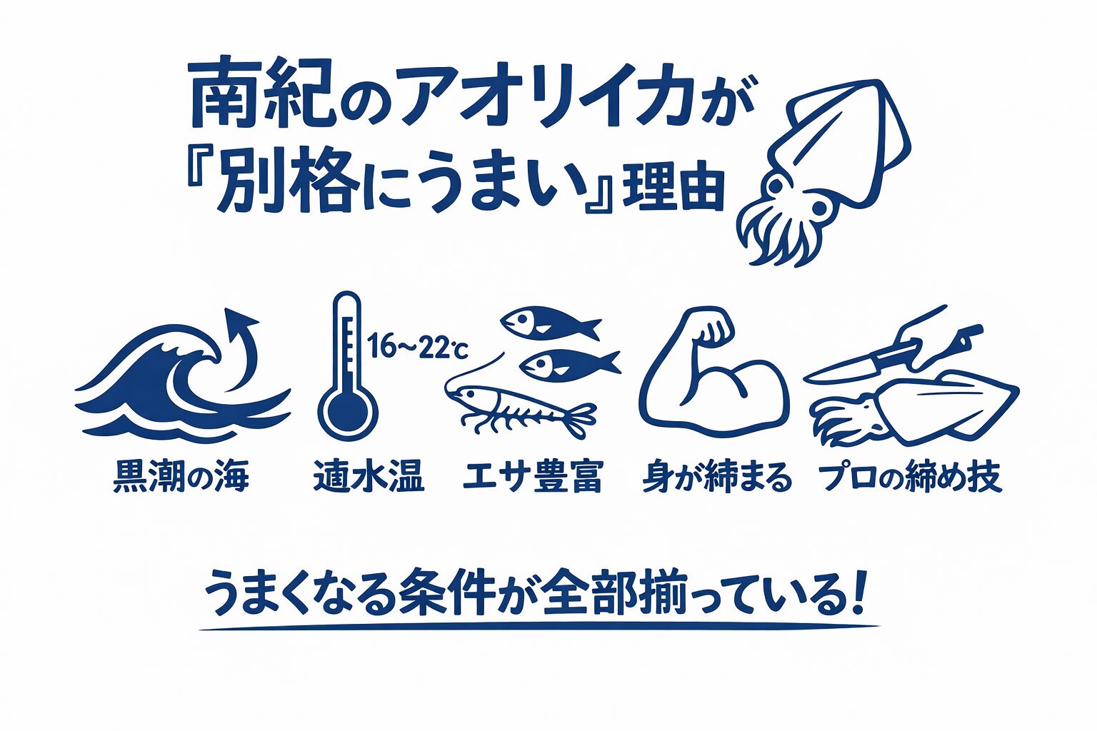 南紀のアオリがうまい理由は、黒潮・水温・エサ ・地形・文化。全部が奇跡的に重なっている。釣太郎