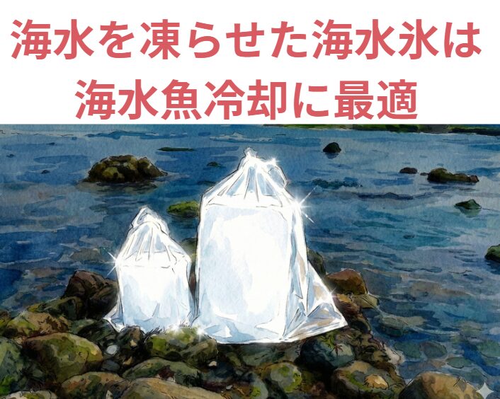 釣太郎の海水氷で「お店の味」を持ち帰ろう。「美味しい魚を食べたいなら、氷にこだわる」 これは料理人の常識。釣太郎