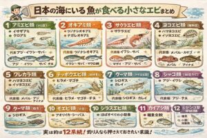 日本の海で魚が捕食する小さなエビ類は・アミエビ・オキアミだけではなく12の主要グループが存在します。釣太郎