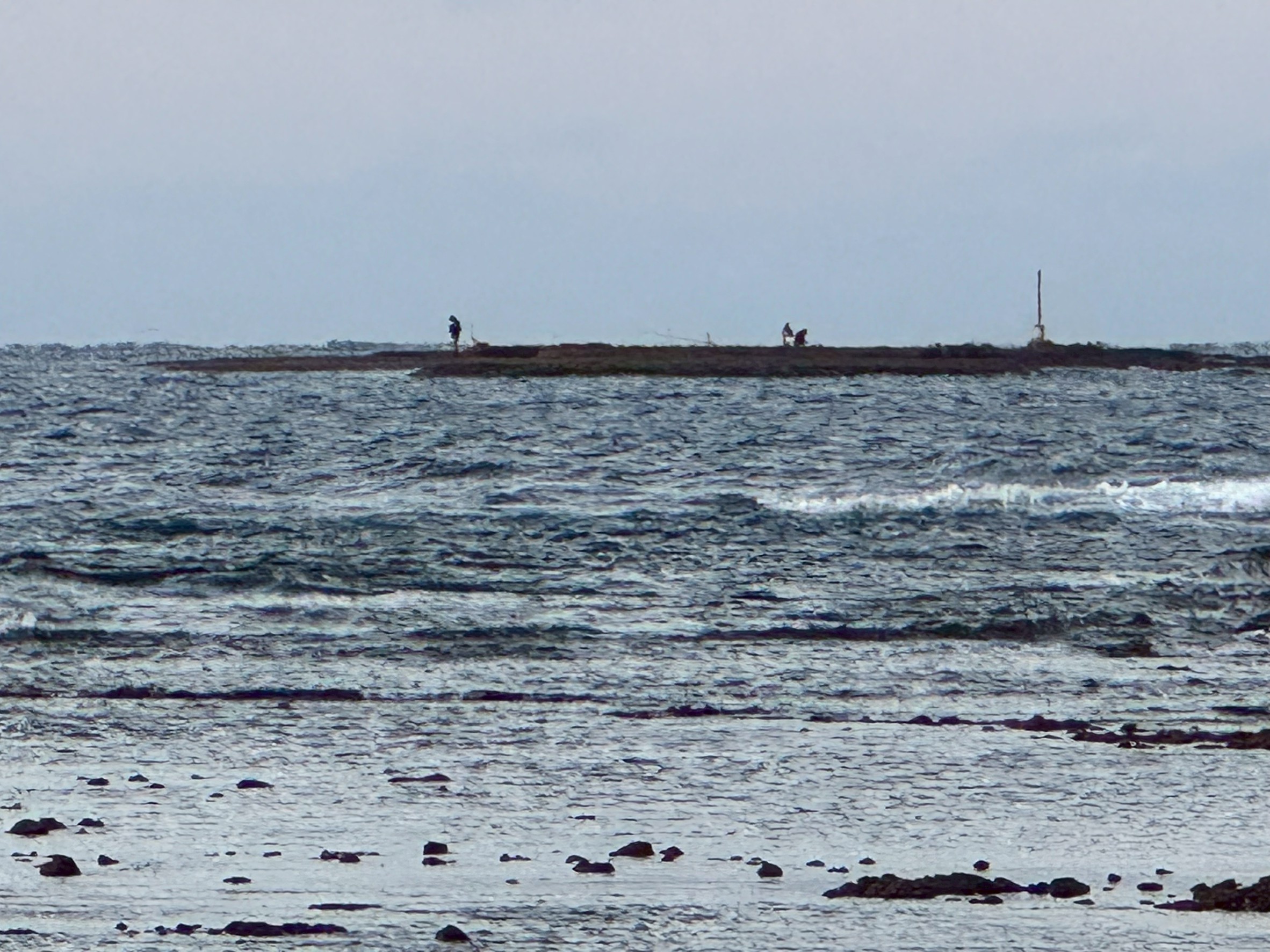 元旦に沖磯に渡り、初釣りを楽しむ人たち。2026年1月1日みなべ堺。釣太郎