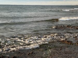 海は遠くから見るものではありません。近づいて、感じるもの。波打ち際2メートルは、自然が用意した無料のカウンセリングルーム。釣太郎