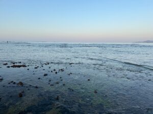 海は、 資源でも観光地でもなく、記憶・文化・環境・未来をつなぐ存在。語り継ぐべき文化。科学的に記録される環境。再構築すべき教育。守るべき生存基盤。釣太郎