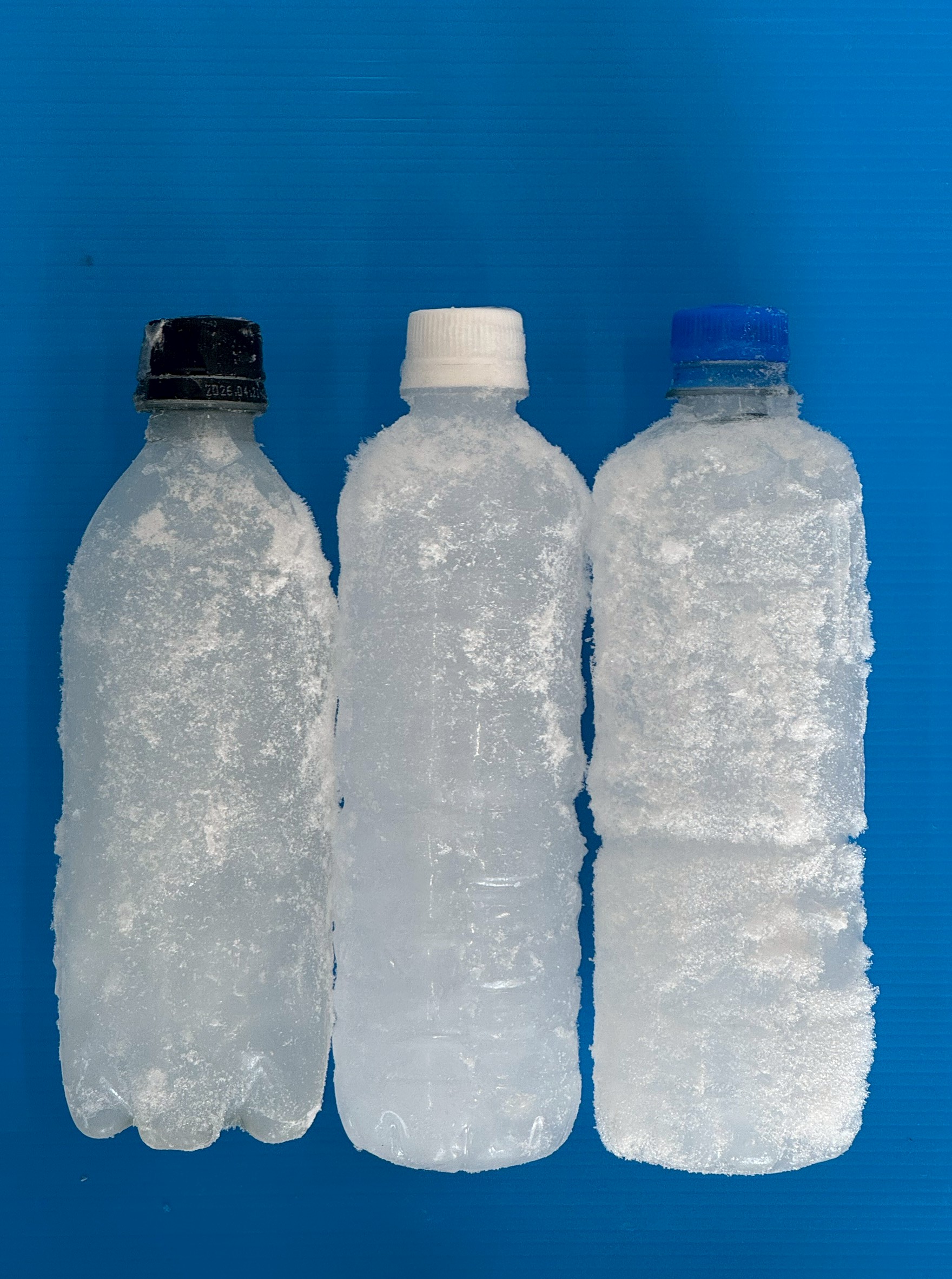 魚の鮮度が劇的に変わる？中身が「海水」のペットボトル氷が1本120円で販売中.釣太郎