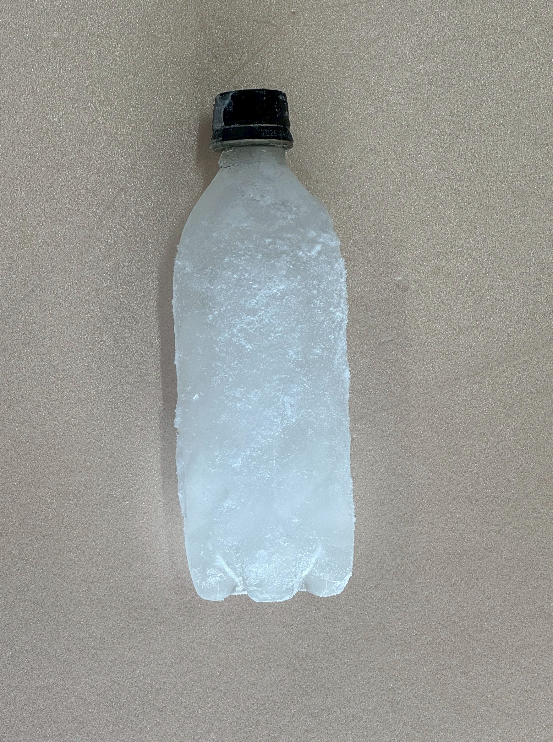 釣行時の必需品といえば「氷」。でも、ただの氷では物足りない。そんなあなたにおすすめなのが、釣太郎オリジナルの【ペット氷（海水氷）】です。