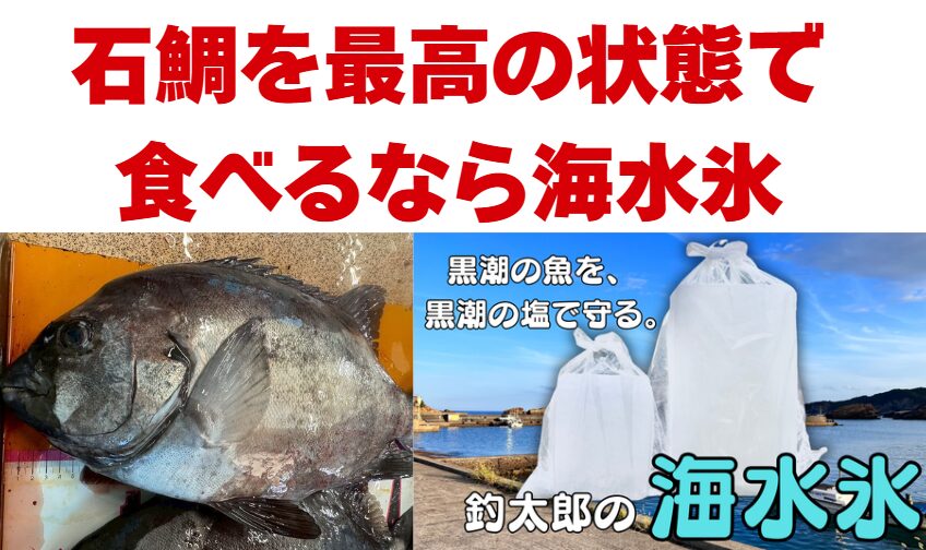 石鯛を最高の状態で持ち帰りたいなら海水氷一択。真水氷は「冷える」だけ。海水氷は「味を守る」釣太郎