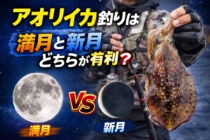 アオリイカ釣り、新月は暗くて警戒心が薄れ、接岸しやすい。満月は明るくて深場に下がるが、潮が動けばチャンスあり。 最も重要なのは“潮の動き”と“時間帯”の組み合わせ。釣太郎
