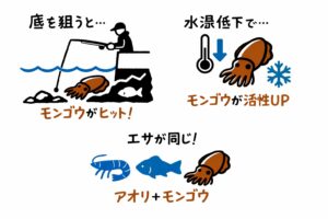 アオリイカ釣り、モンゴウが釣れるのは「上手くなってきた証拠」釣太郎