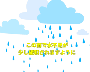 一日中しとしと、あるいはザーザーと降る雨は、乾ききった地面にじっくりと染み込む。 これが山の保水力を高め、時間をかけてダムへと流れ込むため、貯水率の回復には非常に効果的。釣太郎