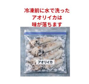 アオリイカは「冷凍前に洗ったら終わり」です 知らない人が多すぎる致命的な事実。釣太郎