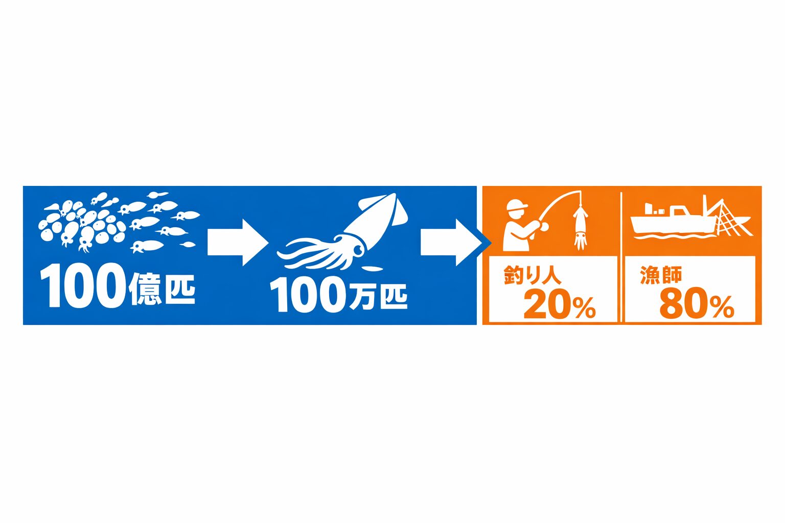 アオリイカって、海に山ほどいるように見える。でも実態は、毎年毎年、ものすごい数が産まれて、ほとんどが消えて、ほんの一握りだけがデカくなる。釣太郎