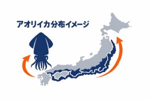 都道府県別にアオリイカの総数を全一覧にする。AIシュミレーション.釣太郎