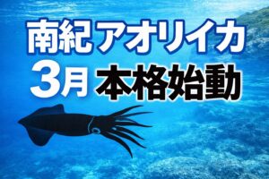 アオリイカの聖地・和歌山南紀は3月から本格シーズン突入。釣太郎