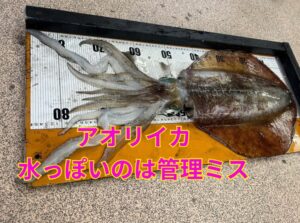 アオリイカは・水分が多い・構造が繊細・崩れると終わり。超・デリケートな食材。だから👉 水っぽい＝管理失敗。👉 うまい＝管理成功。釣太郎