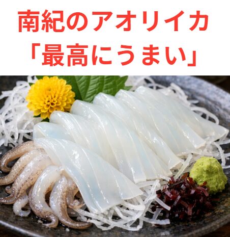 黒潮の影響で海水温が年間を通じて高めで、エサとなる小魚が豊富なため、南紀のアオリイカが大型化しやすく、身が厚く締まった個体が多いのが特徴です。釣太郎