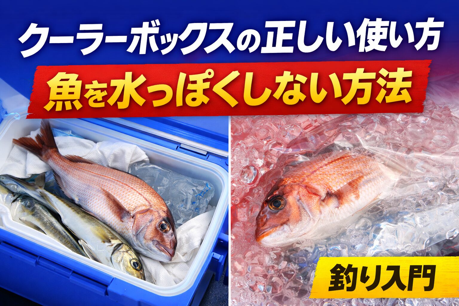 魚を水っぽくしないコツは冷やし方を変えること。ただ冷やすのではなく“守りながら冷やす”。海水氷なら間違いなし。釣太郎