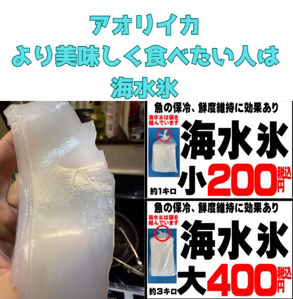 アオリイカ、海水氷に切り替えるだけで、透明感・コリコリ食感・甘い旨味が劇的に向上します。釣太郎