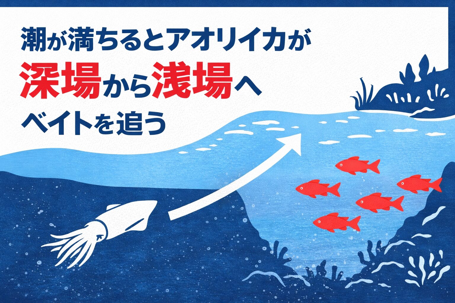 潮が満ちると、アオリイカは深場から浅場へ動く。理由は単純。ベイトを追うから。潮は水位だけではない。海の中の“流れ”と“命の動き”を読むこと。釣太郎