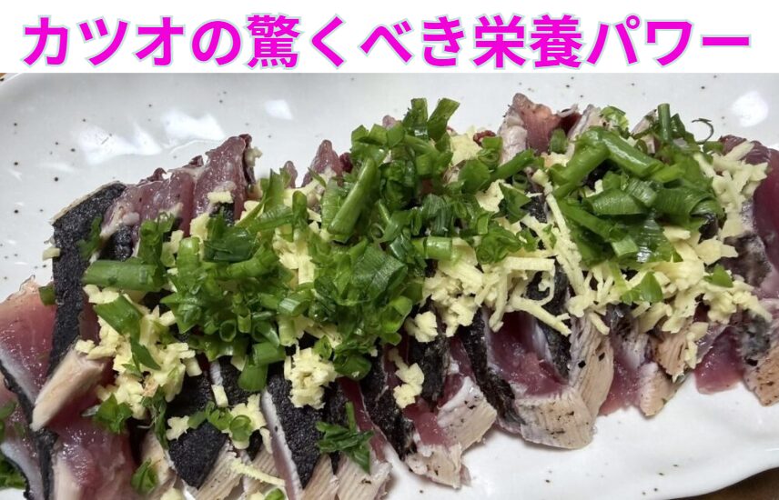 カツオは単なる美味しい魚ではなく、私たちの体を内側から整えてくれるスーパーフードです。 「最近、疲れが抜けないな」と感じたら、ぜひ食卓にカツオを取り入れてみてください。釣太郎