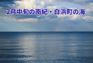 2月中旬の白浜の海は 海水温約16〜17℃で冬の海況。 北西風・波高が出やすい季節。 透明度は日によって変わる。 釣りは魚活性が低くなりやすい。釣太郎
