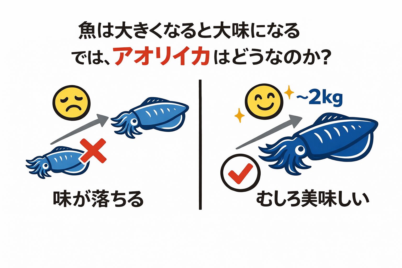 魚は大きくなる・アオリイカは1kg〜2kgまでは味が伸びる・2kg超えは調理次第で評価が分かれる・刺身のピークは1kg前後。釣太郎